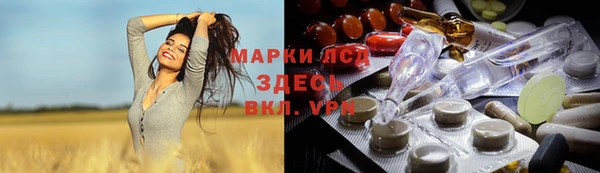 гашик Алзамай