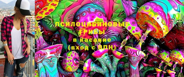 гашик Алзамай