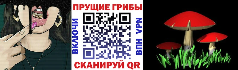 кракен онион  как найти закладки  Шелехов  Псилоцибиновые грибы MAGIC MUSHROOMS 